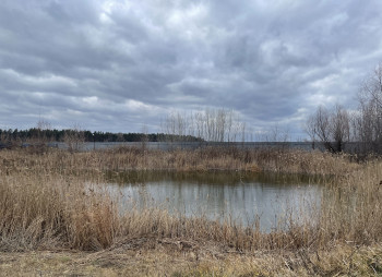 Продаж виробничого комплексу 4340 м2 з ділянкою 6,3 га, Київська область, Баришівка